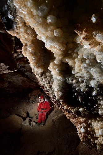 Grotte du Sud de l'Arizona (USA) - Paroi couverte de cristaux de calcite en dent de cochon(SP-20-0214)